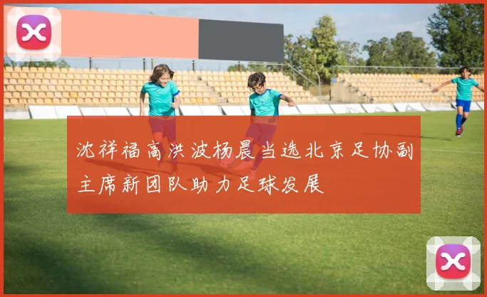 沈祥福高洪波杨晨当选北京足协副主席新团队助力足球发展