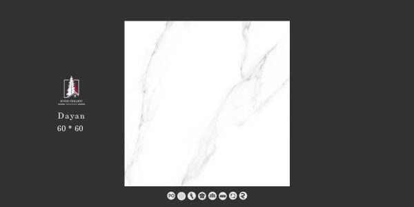 Diane Ceramic 60*60 - Image 2
